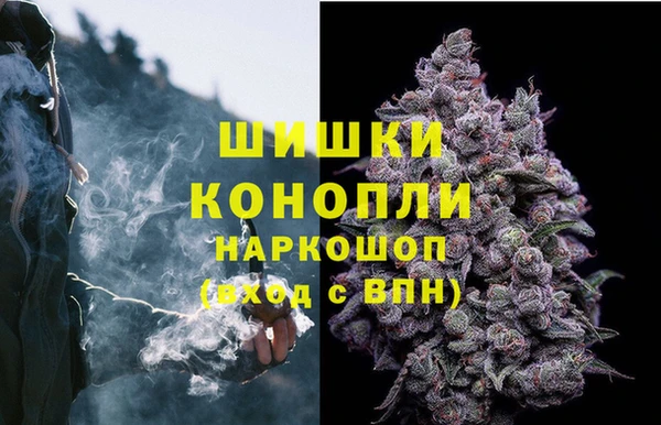 крисы Абдулино