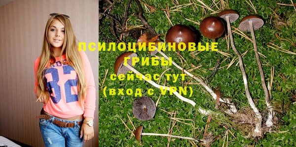 МДПВ Абинск