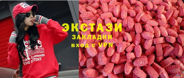 гашик Алексин