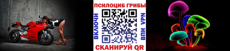 Псилоцибиновые грибы Cubensis  Прохладный 